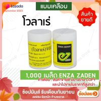 เมล็ดพันธุ์ผักสลัดกรีนบัตเตอร์เฮด โวลาเร่ (Green Butterhead Volare)  ชนิดเคลือบ 1000 เมล็ด ยี่ห้อ Enza Zaden จากประเทศเนเธอร์แลนด์ by hydroponicgroup