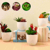 จำลองฉ่ำหม้อเซรามิก Succulents โต๊ะเครื่องประดับประดิษฐ์เหมือนจริงกระถางอ่างสมจริงพืชปลอมสำนักงาน