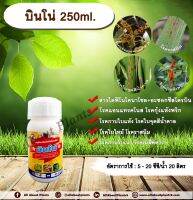 บินโน่ 250ml. ไดฟีโนโคนาโซล+อะซอกซีสโตรบิน สารป้องกันกำจัดโรคพืช กำจัดเชื้อรา โรคกาบใบแห้ง กาบใบเน่า ใบจุดสีน้ำตาล โรคเมล็ดด่าง โรคแอนแทคโนส โรคกุ้งแห้งพริก โรคราสนิม โรคใบไหม้ โรคใบจุด  กรีนลีฟส์ allaboutplants