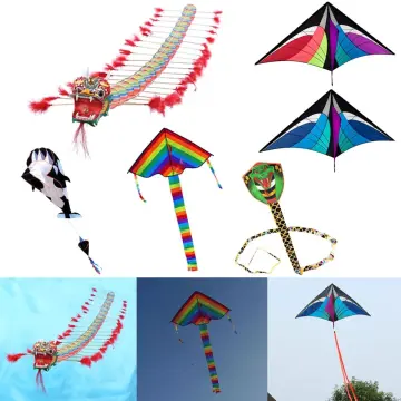 Kite Flying Fun Sport Kites, Flying Dragon Kites, Kites Kids Dragon