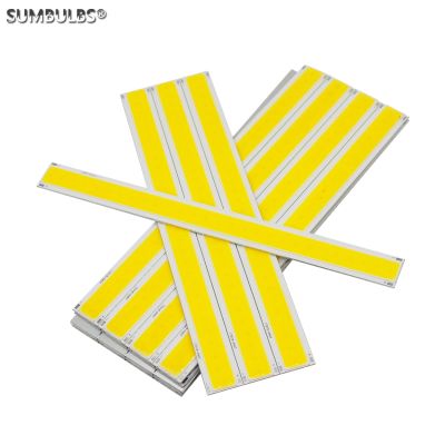 【CW】 170x15mm 6W COB Lamp Bar Strip DC12V/24V Warm Cold Lighting 600LM 17CM for Table Wall Lamps