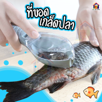 Fish Scale Peeler ที่ขอดเกล็ดปลา อุปกรณ์ครัว ที่ขูดเกล็ดปลา อุปกรณ์ขอดเกล็ดปลา ที่ขูดเกล็ดปลา