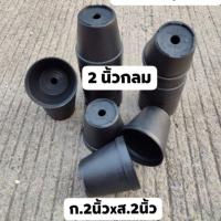 กระถาง 2 นิ้วกลม งานหนา สวย ทน  สั่งขั้นต่ำ 5 ใบ/รายการ รวมรายการอื่นได้