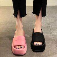 Spring and Autumn 2023 alexanderˉ wangˉNew Thick Sole Slippers for Women Silk Sandal Slippers for Women Outwardly Wearing Cake Shoes