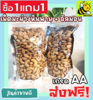 ส่งฟรี!! ซื้อ 1ฟรี 1 ขนาด 500 กรัม พร้อมทาน เม็ดเต็ม [เม็ดมะม่วงหิมพานต์+ อัลมอนด์อบเกลือ] Cashew Nuts (กรุณาเลือกสินค้าก่อนสั่งซื้อทุกครั้ง) เม็ดมะม่วง เม็ดมะม่วงหิม เมล็ดมะม่วงหิมพาน เม็ดหัวคร๊ก เม็ดยาร่วง อัลมอนด์อบ Natural Roasted Almonds