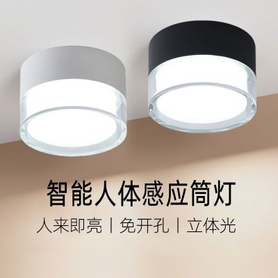 Led Intelligent Radar Human Body Induction Surface Mounted Downlight Modern Simple Household Hallway Corridor And Aisle Round Ceiling by Hs2023