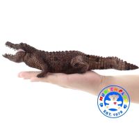 Munich Play - โมเดล จระเข้ Crocodile แดง ขนาด 28.00 CM (จากหาดใหญ่)