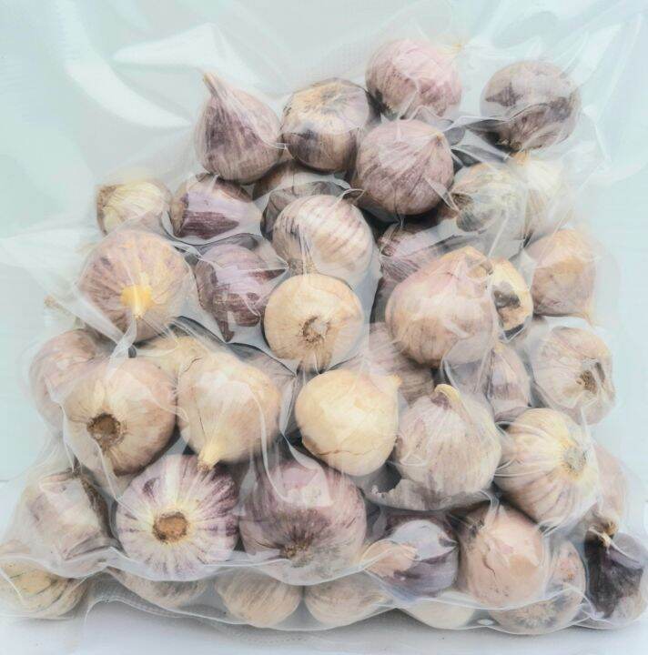 กระเทียมโทนแก่สด-fresh-aged-garlic-สมุนไพรไทย-สำหรับประกอบอาหารเพื่อสุขภาพ-น้ำหนัก-500-กรัม