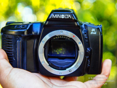 ขายกล้องฟิล์ม Minolta 3xi Serial 56204177 Body Only กล้องฟิล์มถูกๆ สำหรับคนอยากเริ่มถ่ายฟิล์ม