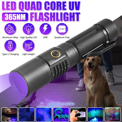30W 365NM UV Light Flashlight Ultraviolet Lamp Money Fluorescent Agent Detection Torch Pet Urine Stains Detector Rechargeable Flashlights