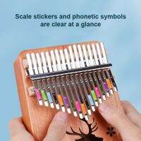 【YF】 Instrument Phonetic Label Symbols 17 Thumb Paste Environmental Self-adhesive 21