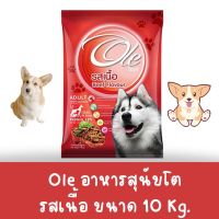 อาหารสุนัข รสเนื้อ ขนาด 10 KG