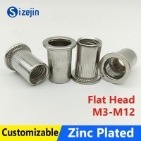 Rivet Nut Insert Nutsert Cap Zinc Plated M3 M4 M5 M6 M8 M10 M12 Flat Head Threaded Carbon Steel Knurled Nuts Rivnuts 10pcs