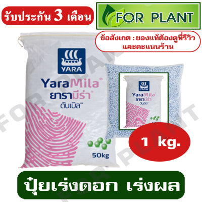 ปุ๋ย สูตร 8-24-24 ตรายารา มีร่า เเบ่งบรรจุ 1 กิโลกรัม ปุ๋ยเร่ง ต้น ใบ ดอก ผล ใส่ผัก ผลไม้ ไม้ดอกไม้ประดับ