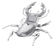 หุ่นโลหะ3มิติแมลงตัวด้วงโลหะทำมือ,โมเดลปริศนา3มิติสุดสร้างสรรค์