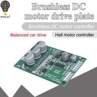 โมดูลบอร์ดควบคุมของผู้ขับขี่รถยนต์ BLDC แบบสมดุลมอเตอร์ไฟฟ้ากระแสตรง12V-36V 500W อุปกรณ์ควบคุมมอเตอร์แบบไร้แปรงถ่านทรงตัวรถยนต์