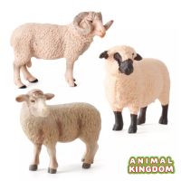 Animal Kingdom - โมเดล Sheep แกะ พ่อแม่ลูก ชุด 3 ตัว (จากสงขลา)