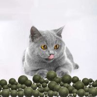 Pet Catnip Toys  Catnip Ball Safety Healthy Cat Mint Cats Home Chasing Game Toy Products Clean Teeth The Stomach Toys