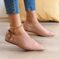 Spring Autumn New Loafers Woman Shoes Soft Fashion Flats Zapatos Women Pointed Toe Shallow Boat Mujer