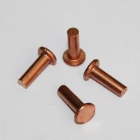 M2 x 4mm (100pcs) Flat Head Copper Rivets Solid Brass Rivet 2mm Diameter