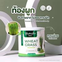 1กระป๋อง YUMIKO Wheat Grass Powder