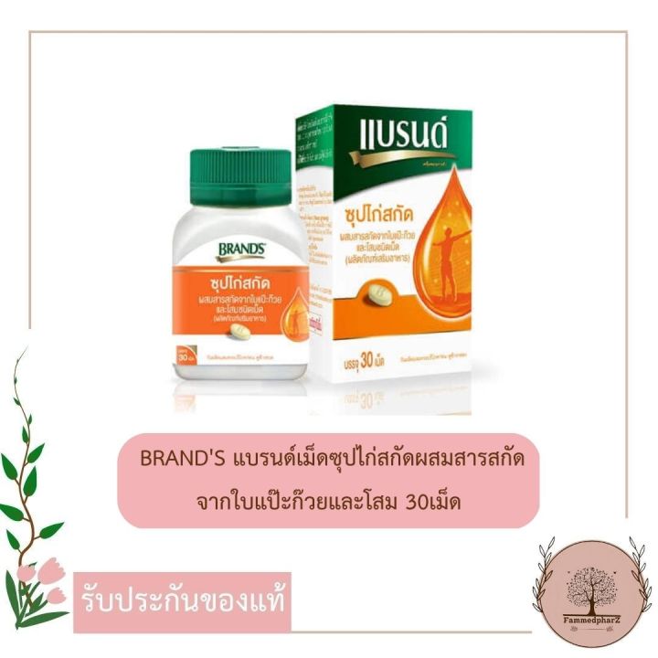 brands-แบรนด์เม็ดซุปไก่สกัดผสมสารสกัดจากใบแป๊ะก๊วยและโสม-30เม็ด-ขวด