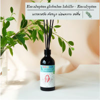 [NATURAL] น้ำหอมในห้อง ยูคาลิปตัส EUCALYPTUS 50 ML.-100ML. ก้านไม้หอม อโรม่า ก้านไม้กระจายกลิ่น ทำจากน้ำมันหอมระเหยแท้ HAUS OF SCENT