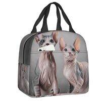 ┋ Drawing Two Cats Sphynx Portable Lunch Box Women Waterproof Hairless Cat Thermal Cooler Food Insulated Lunch Bag School Children