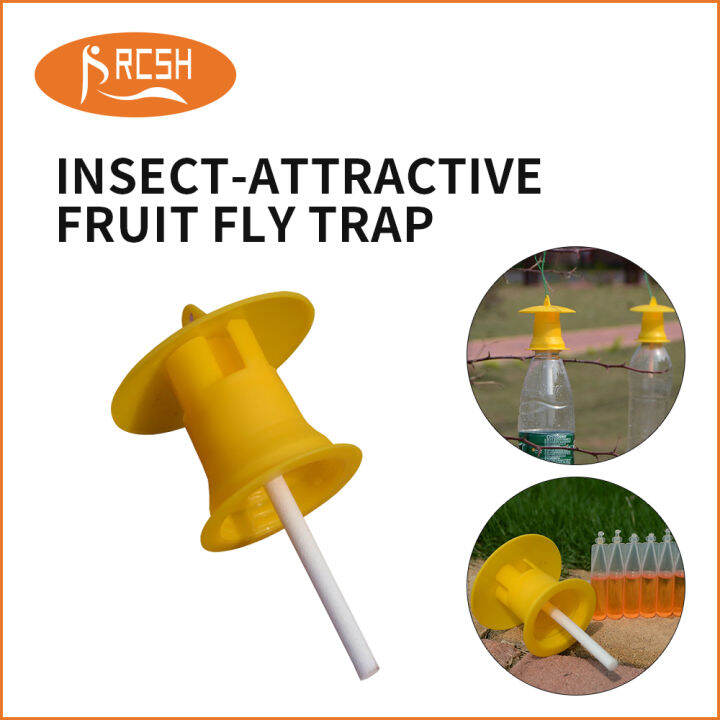 Fruit Fly Trap Cover Head With Fruit Fly Attractant Using Melon Fruit Fly Pheromone Tit Trap 9995