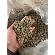 500g Cà phê nhân xanh s16 s18 ROBUSTA