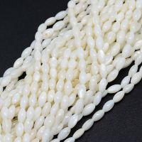 1Strand Dyed Natural Shell Beads Strands, Oval, White, 8x4mm, Hole: 1mm, about 50pcs/strand, 15.7 inch(40cm)