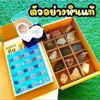 คู่มือศึกษาตัวอย่างหิน แนวSTEM ?หินแท้ 15 ชนิด⛰ โดยนักธรณีวิทยา สื่อ เสริมพัฒนาการ [สินค้าพร้อมส่งจากไทย]