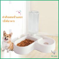 ทรงหัวใจ เข้ามุม ชามอาหารสัตว์เลี้ยง ชามใส่อาหารและน้ำ 2in1 ชามเข้ามุม Pet bowl มีสินค้าพร้อมส่ง Eliana