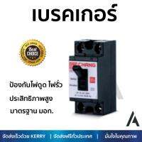 รุ่นขายดี เบรคเกอร์ งานไฟฟ้า CHANG เบรคเกอร์ 30A BCH-130 ช้าง - สีดำ ตัดไฟ ป้องกันไฟดูด ไฟรั่วอย่างมีประสิทธิภาพ รองรับมาตรฐาน มอก Circuit Breaker จัดส่งฟรี Kerry ทั่วประเทศ