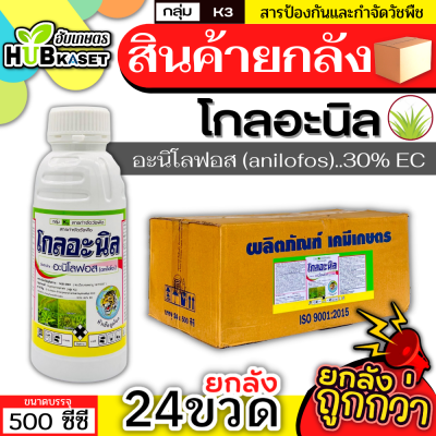 💥💥 สินค้ายกลัง 💥💥 โกลอะนิล 500ซีซี*24ขวด (อะนิโลฟอส) ใช้ได้ทั้งก่อนและหลังวัชพืชงอกในนาหว่านน้ำตม ทั้งใบแคบใบกว้าง