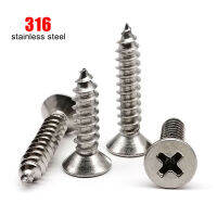 1050X M2 M3 M4 M5 M6 High Quality 316 A4-80 Marine Grade Stainless Steel Phillips Flat Countersunk Head Self Tapping Wood Screw