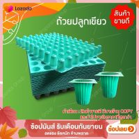 ถ้วยปลูกผักไฮโดรโปนิกส์สีเขียว ถ้วยปลูกเขียว 1 แผง 80 ใบ by hydroponicgroup