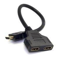 One Input Two Output Splitter Cable 1 Male to 2 Female Y Splitter Adapter 1X2 Twin Adapter Cable Splitter for HD LED LCD TV