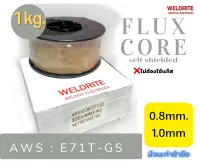 ลวดเชื่อมฟลั๊กซ์คอร์ E71T-GS dia 0.8,1.0mm (1kg)