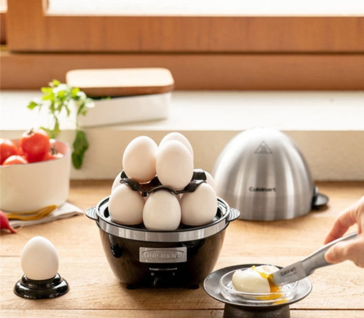Cuisinart Egg Cooker CEC 10KR Lazada
