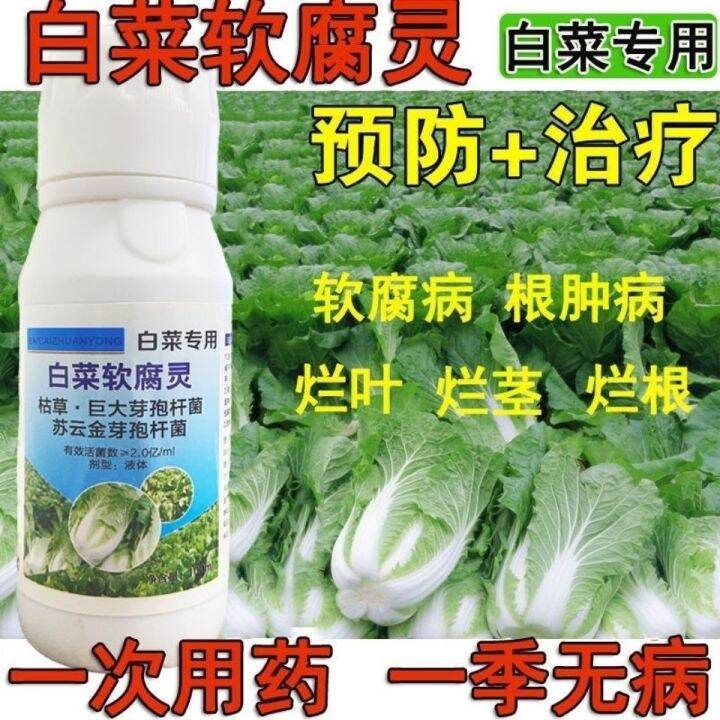 Cabbage Medicine Soft Rot Fungicide Mildew Dry Heartburn Prevention