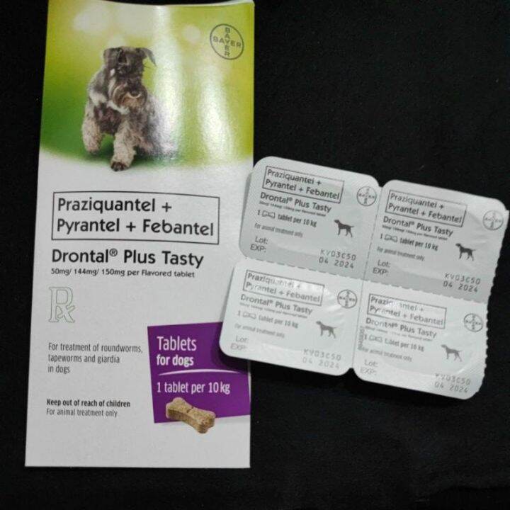Drontal Dog Tasty Bone Deworming Tablet (for up to 10kg) Lazada PH