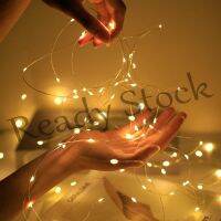 【hot sale】 ❇♕ B28 1M/2M LED Fairy Light Button Atmosphere Light with Warm White Flash House Gift Decoration Supplies