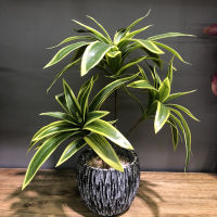 【cw】36cm 3 Heads Tropical Palm Tree Artificial Bamboo Plants Fake Potted Plants nch Plastic Monstera Leaves for Home Desktop Deco ！