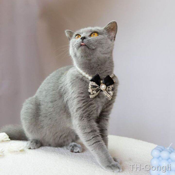 hot-pearl-necklace-cat-dog-collar-pet-pendant-cute-decoration-and-supplies-accessories