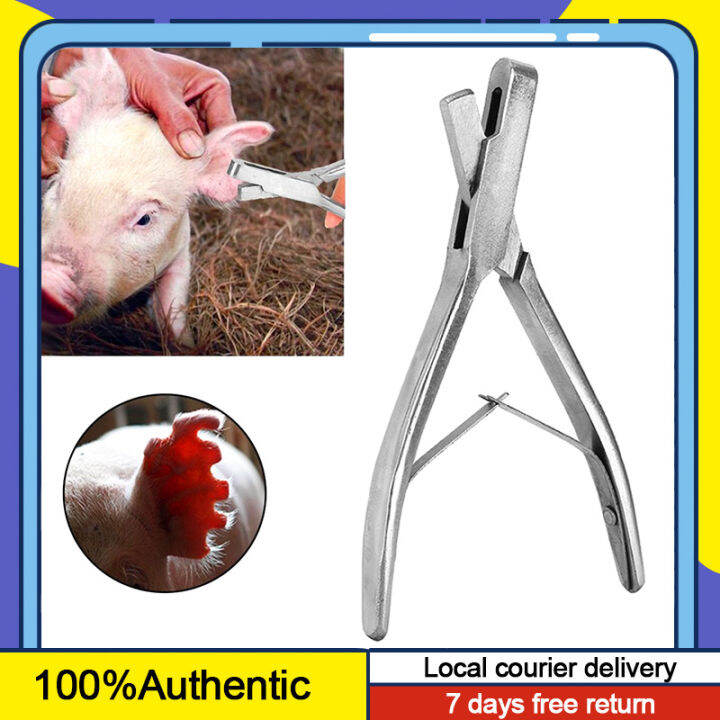 Stainless Steel Pig Ear Notcher Plier U Shape /V Shape Ear Tag Cutter