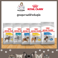 อาหารสุนัขโต royalcanin  ชนิดเปียกสำหรับสุนัขโต (ทุกขนาด) ที่มีปัญหาด้านสุภาพ