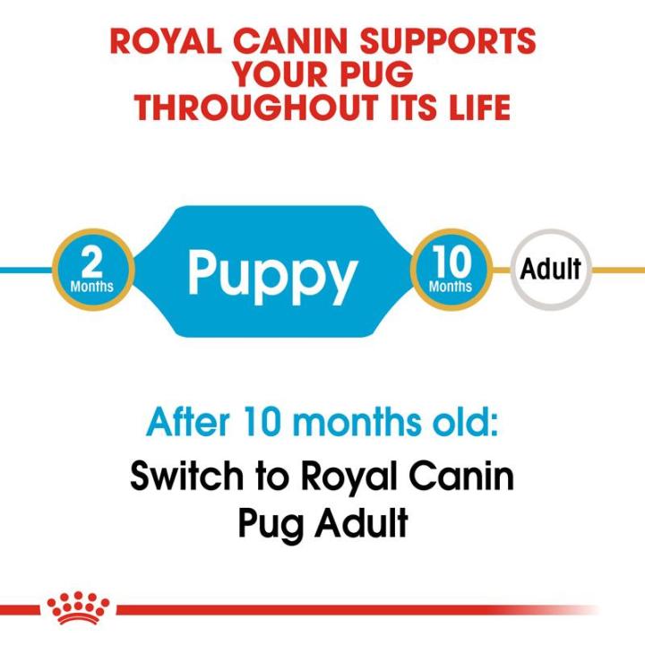 royal-canin-pug-puppy-โรยัล-คานิน-อาหารเม็ดลูกสุนัข-พันธุ์ปั๊ก-อายุต่ำกว่า-10-เดือน-กดเลือกขนาดได้-dry-dog-food