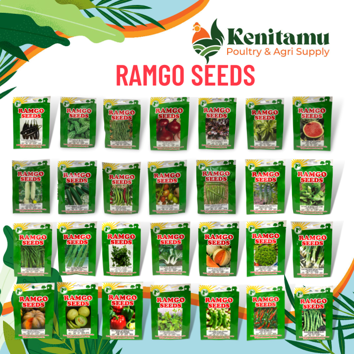 RAMGO SEEDS Lettuce Tomato Hot Peppers Bell peppers Watermelon Eggplant ...