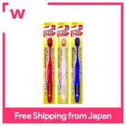 Ebisu Premium Care Toothbrush 6 Row Regular Firm Color 3-Piece Random Color